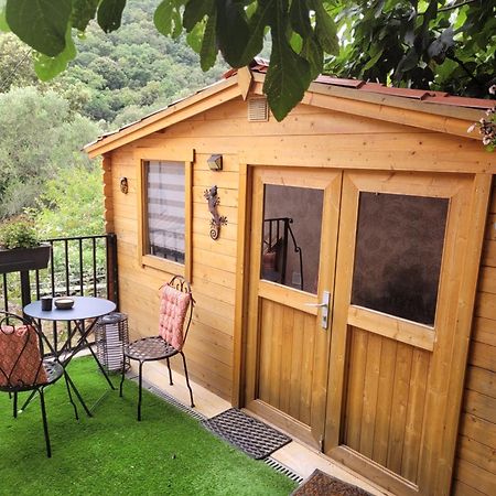 Loue Chalet De 11M2 Auribeau-sur-Siagne Eksteriør billede